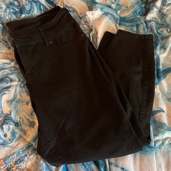 torrid Denim - Torrid Black Skinny Jeans